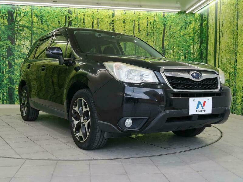 FORESTER-66