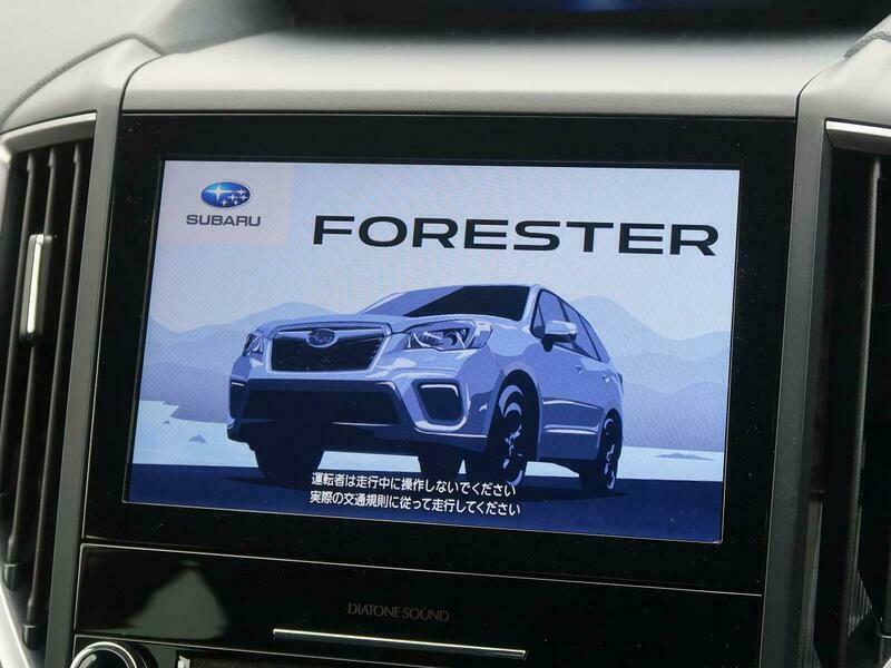 FORESTER