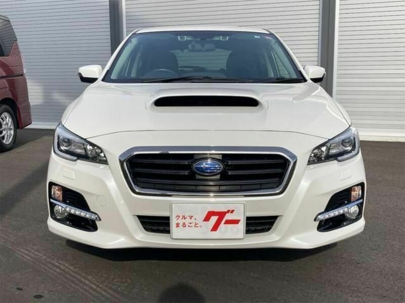 LEVORG-1