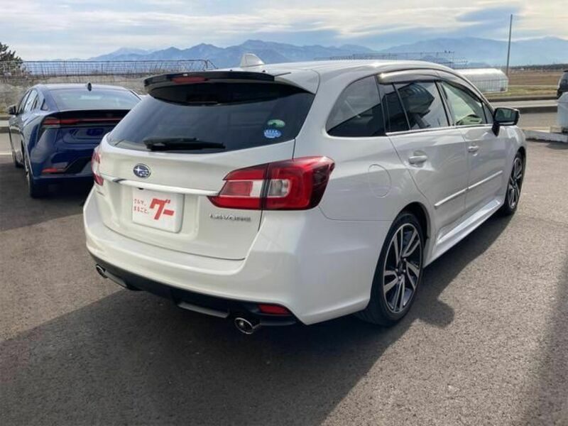 LEVORG-3