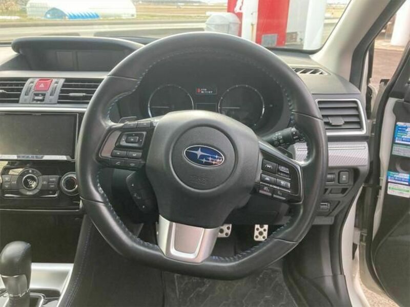 LEVORG-10