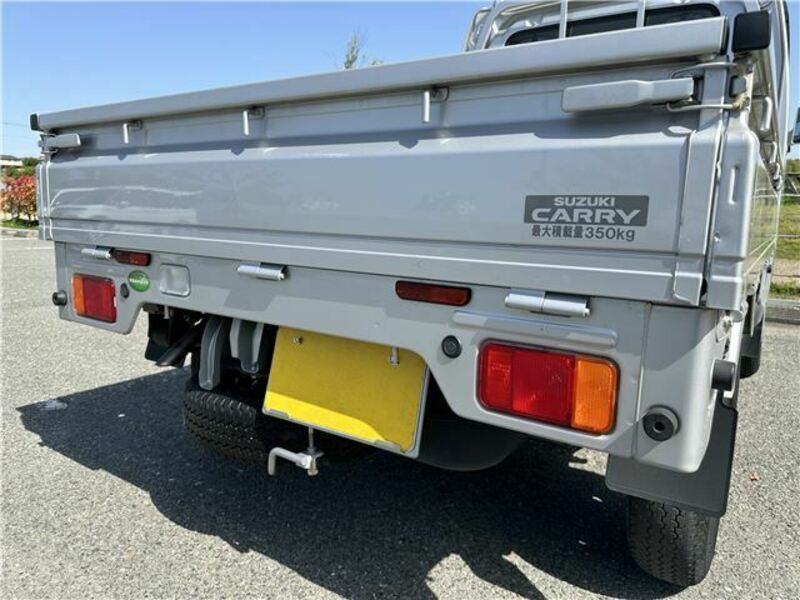 CARRY TRUCK-31