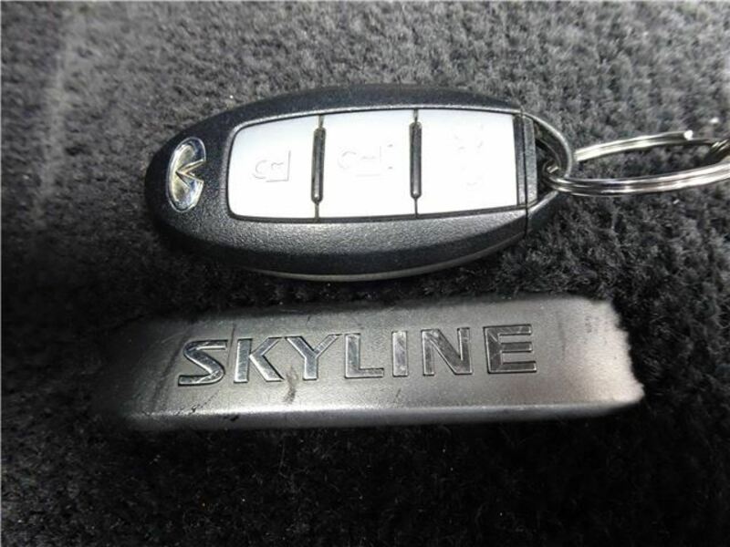 SKYLINE-42