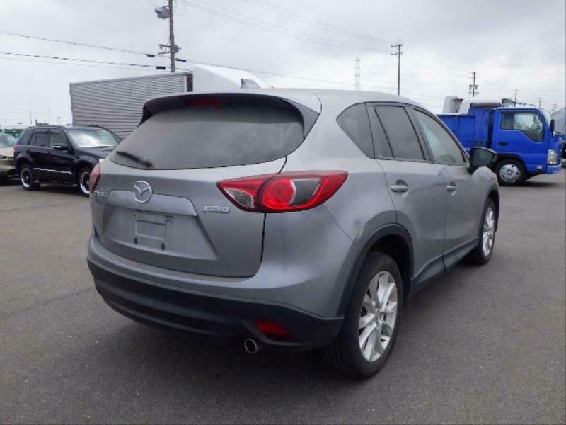 CX-5-41