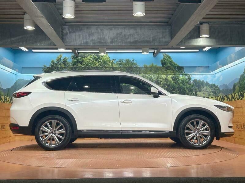 CX-8-19