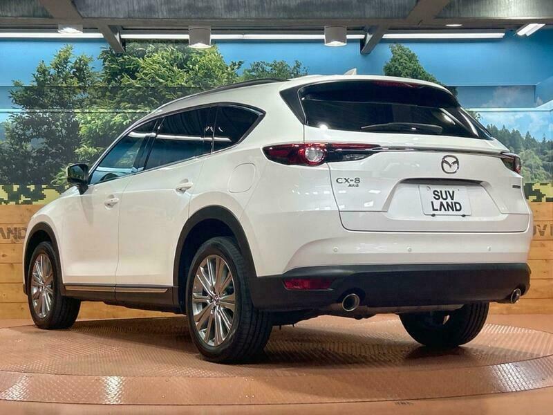 CX-8-18