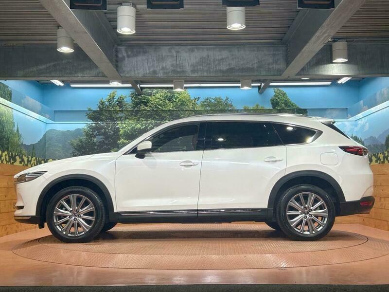 CX-8-28