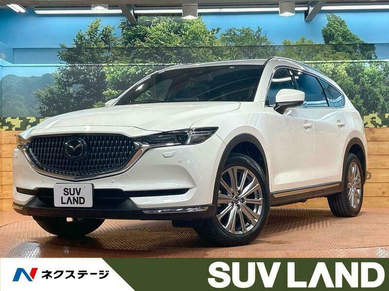 CX-8-21