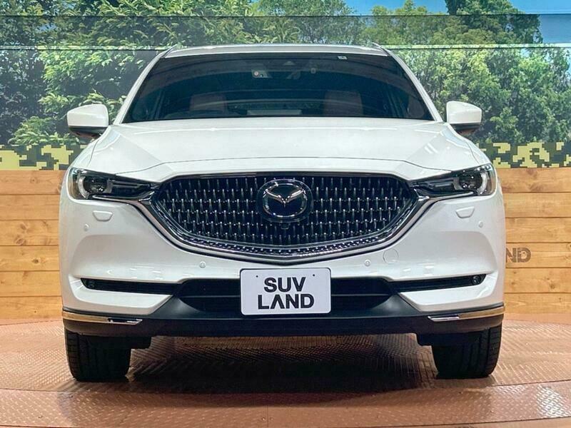 CX-8-23
