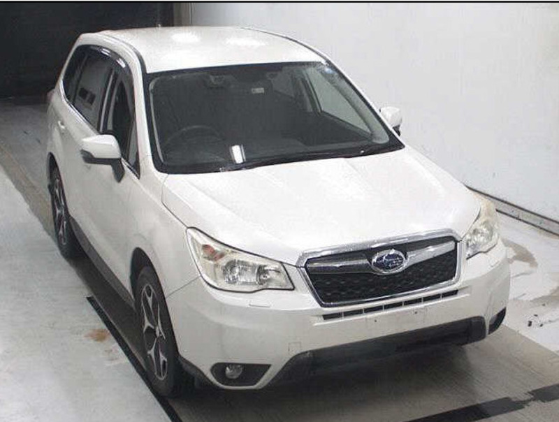 FORESTER-141