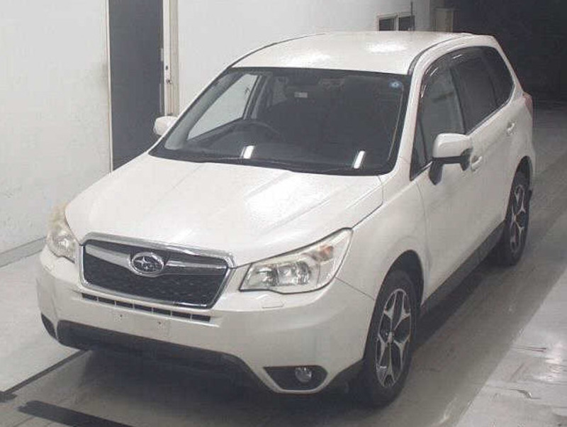 FORESTER-143