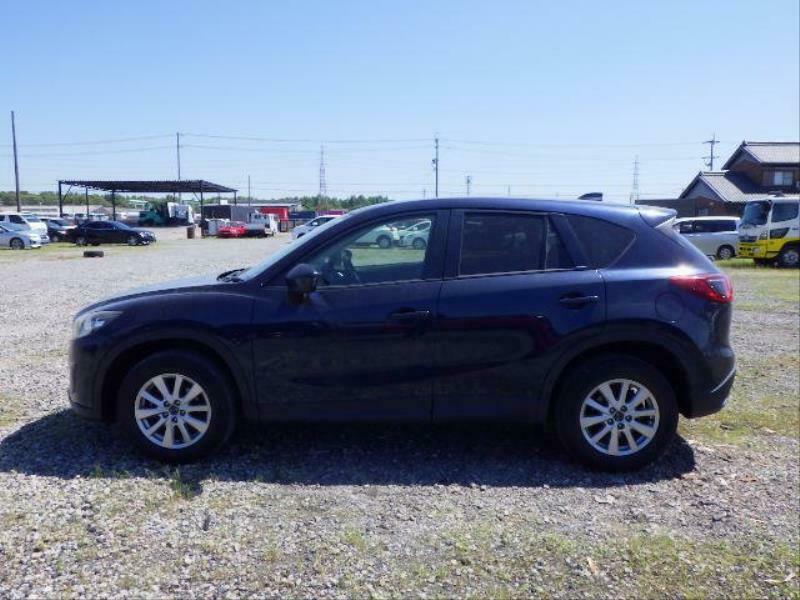 CX-5-41