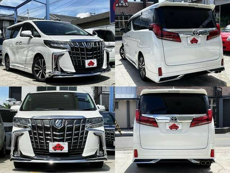 ALPHARD-8