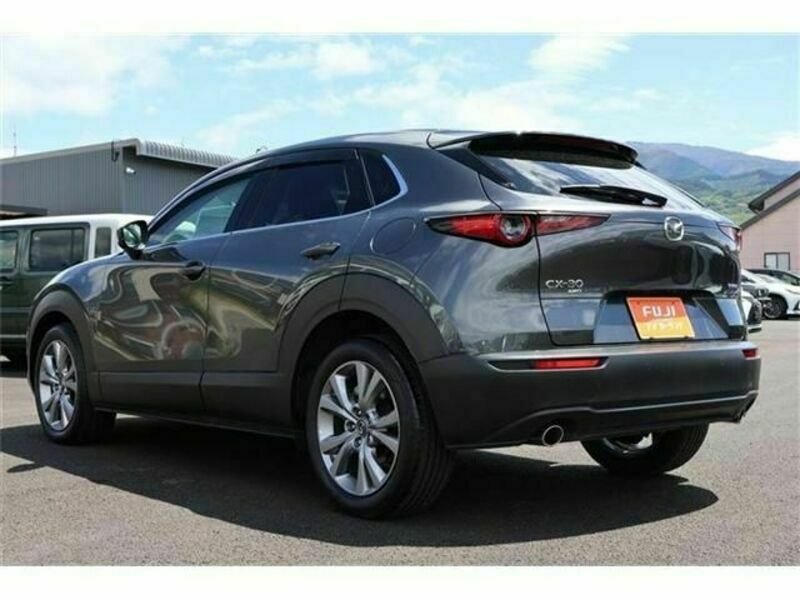 CX-30-1