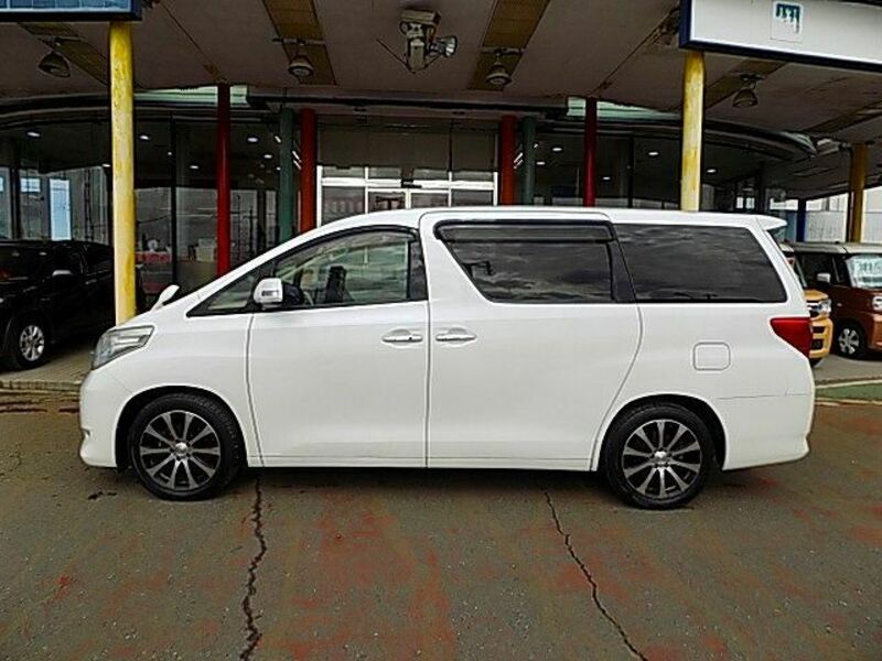 ALPHARD-13