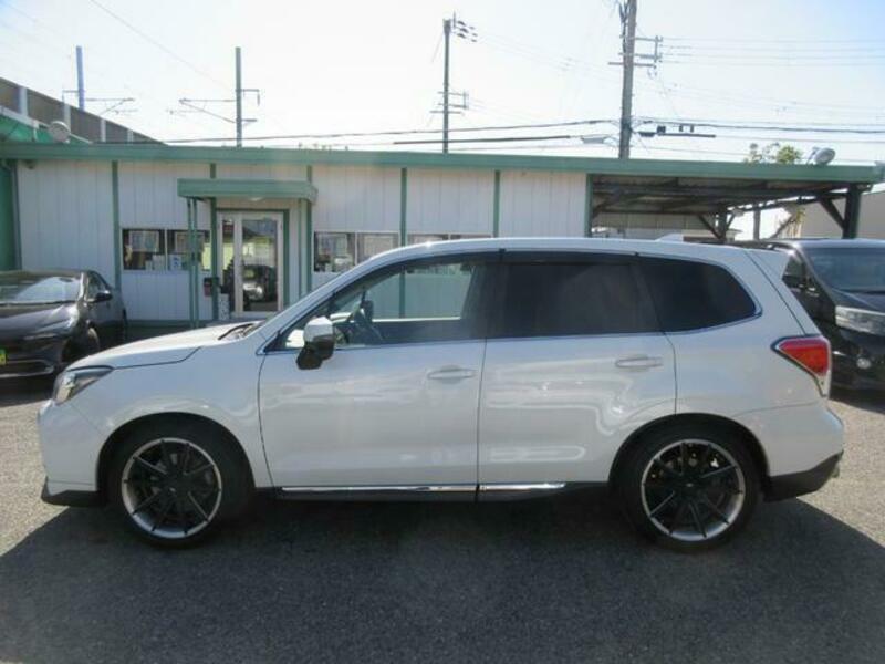 FORESTER-4