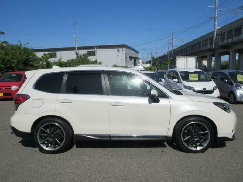 FORESTER-3