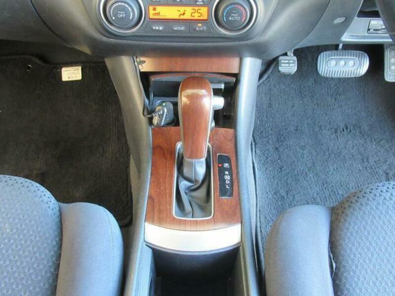 BLUEBIRD SYLPHY