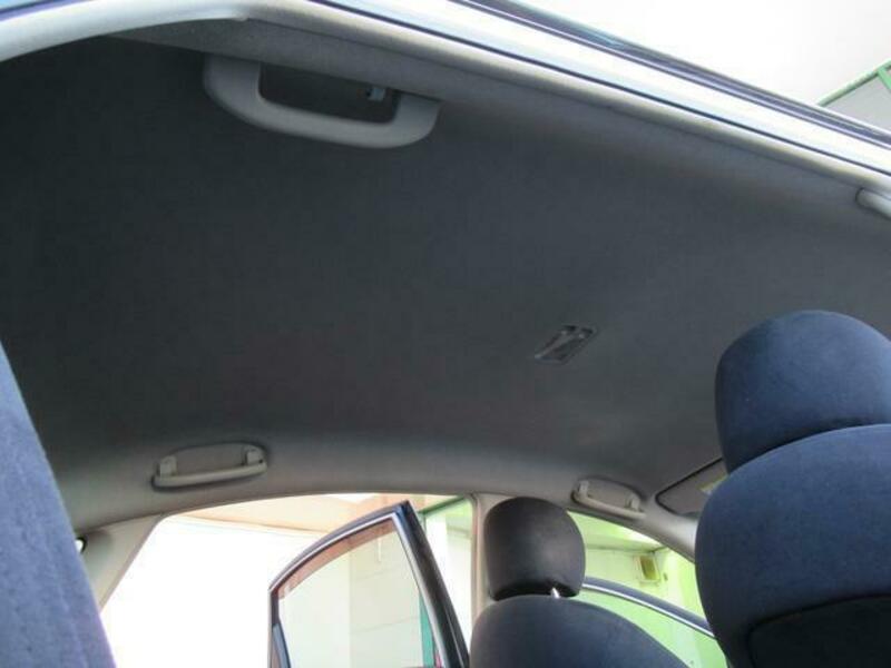 BLUEBIRD SYLPHY