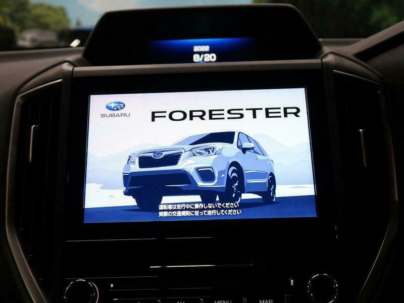 FORESTER