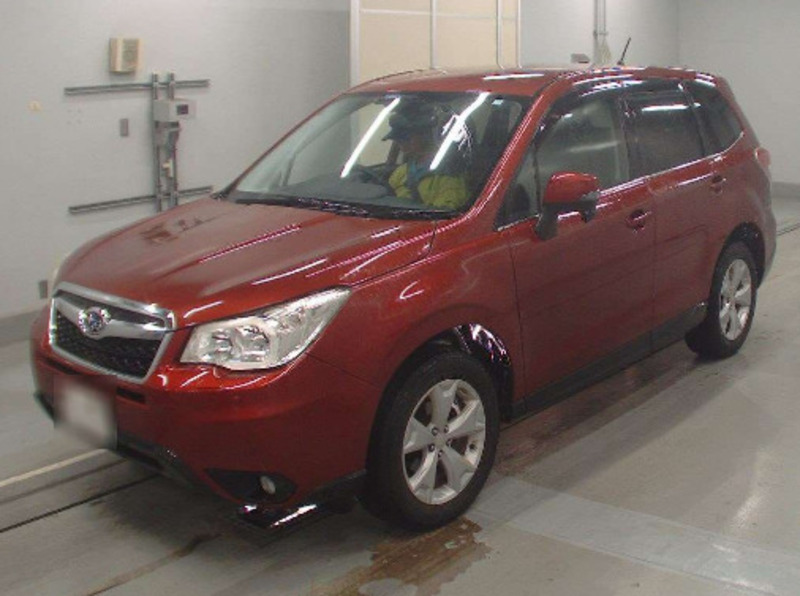 FORESTER-126