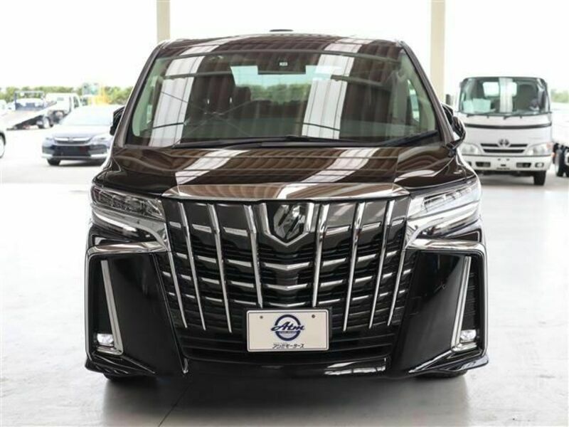 ALPHARD-19