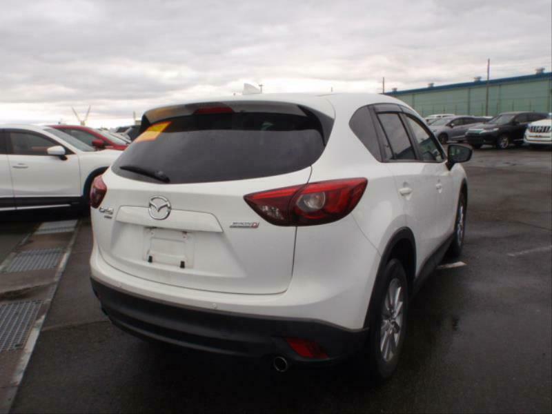 CX-5-13