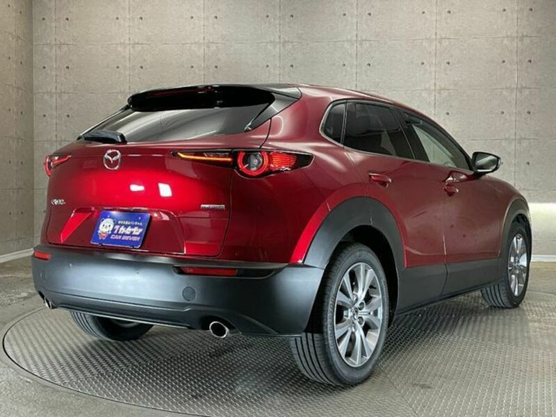 CX-30-3