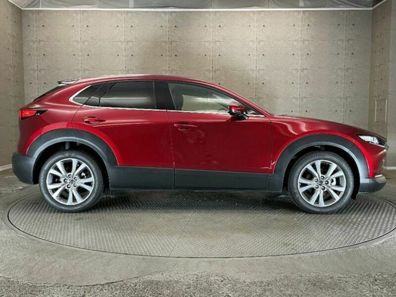 CX-30-7