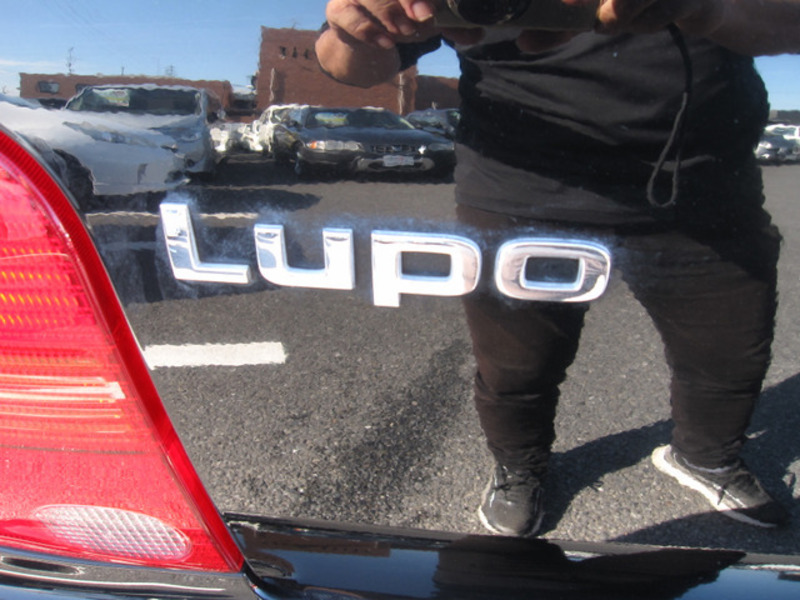 LUPO-17