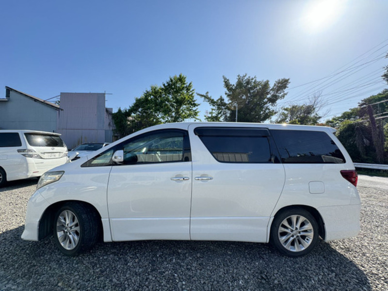 ALPHARD-3