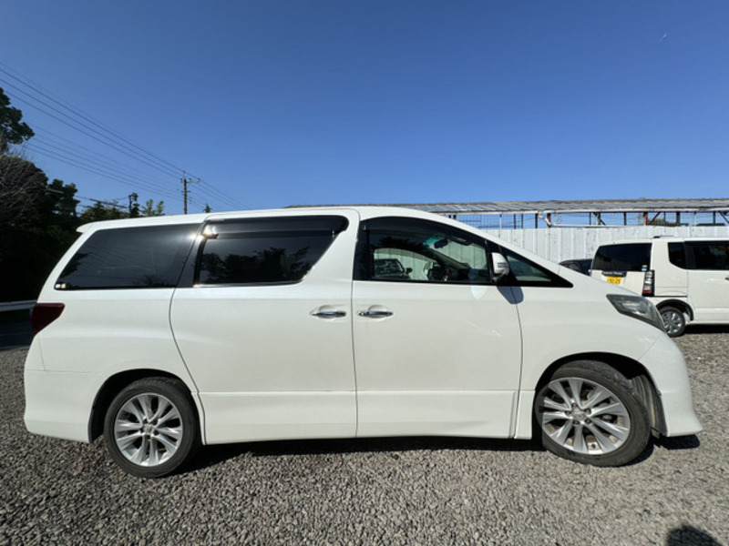 ALPHARD-2