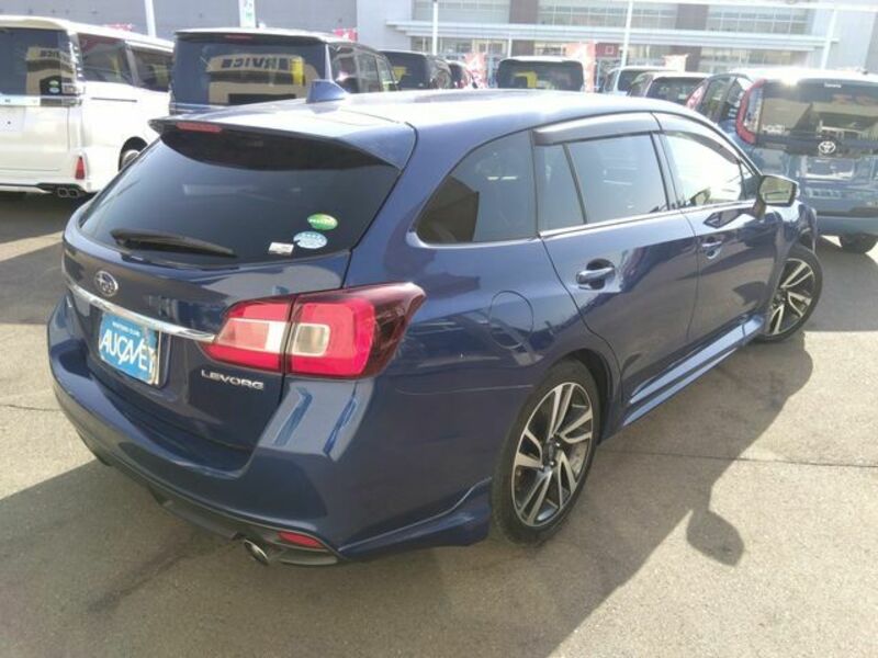 LEVORG-1