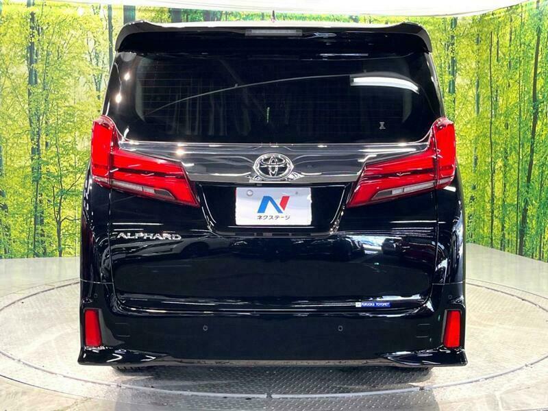 ALPHARD-69