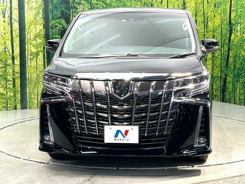 ALPHARD-17