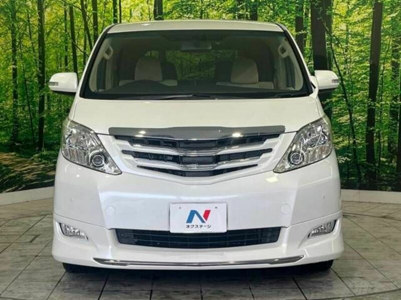 ALPHARD-16