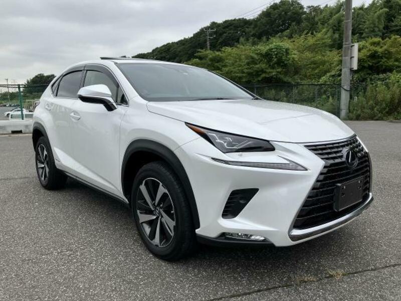 Used 2019 LEXUS NX DAA-AYZ10 | SBI Motor Japan