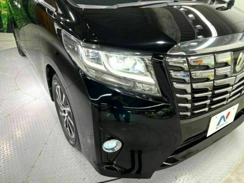 ALPHARD-12