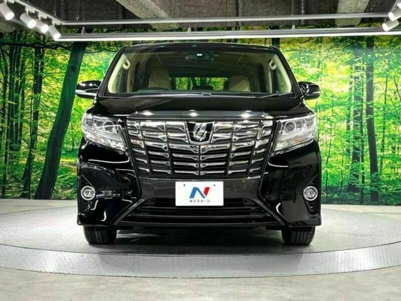 ALPHARD-15