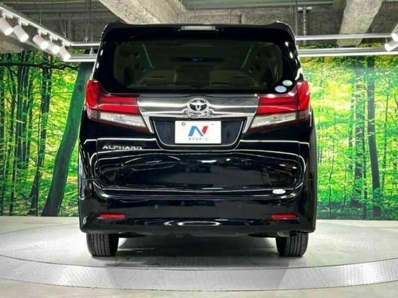 ALPHARD-16