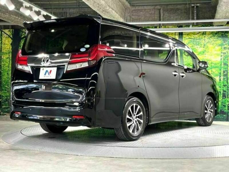 ALPHARD-18