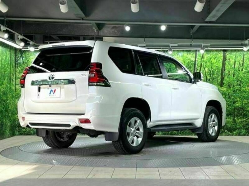 LAND CRUISER PRADO-18