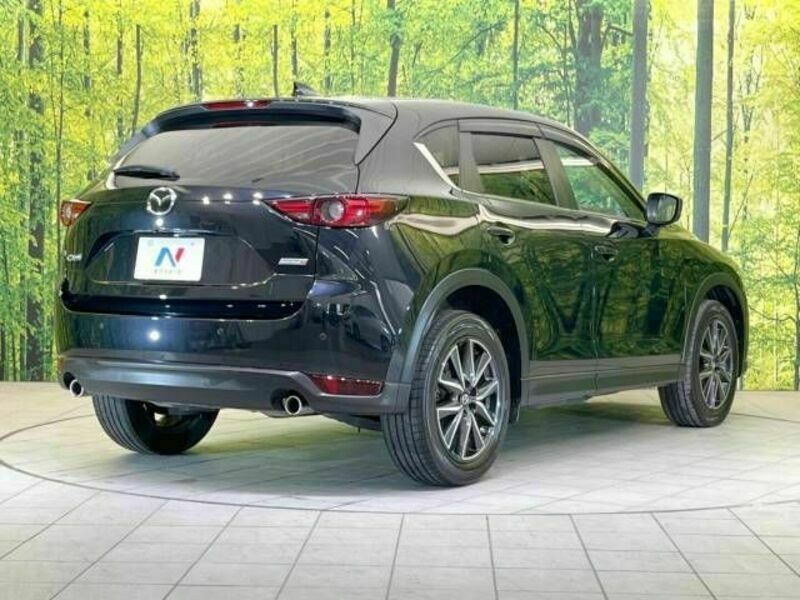 CX-5-17