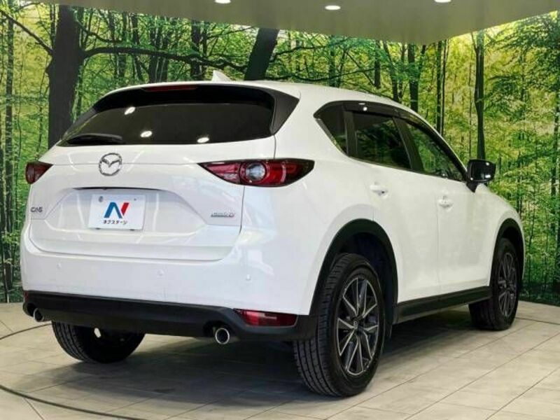 CX-5-17