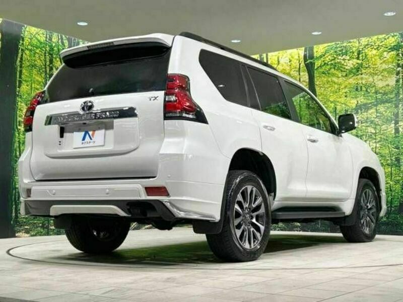 LAND CRUISER PRADO-17