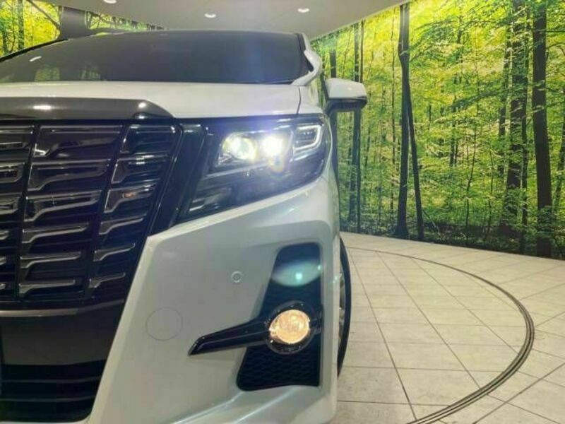 ALPHARD-12