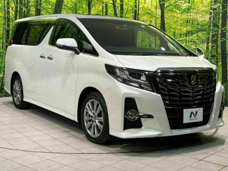 ALPHARD-16