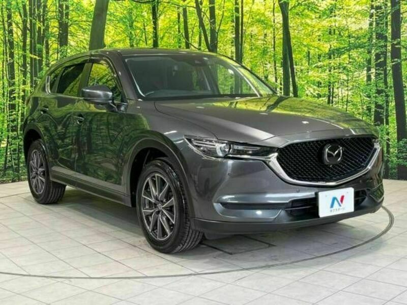 CX-5-17