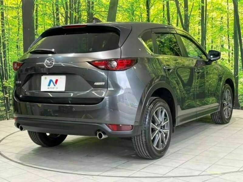 CX-5-18