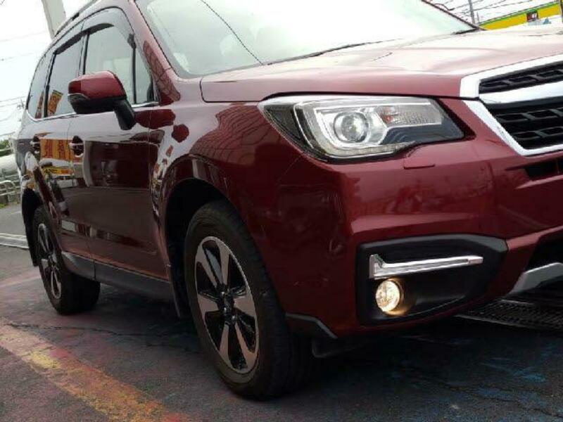 FORESTER-8